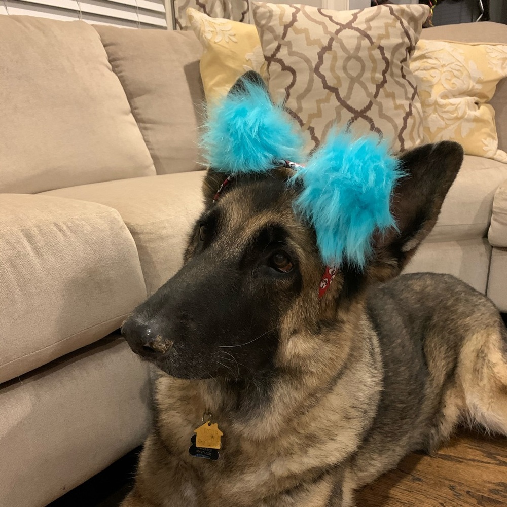 Meet your Posher, Sheri